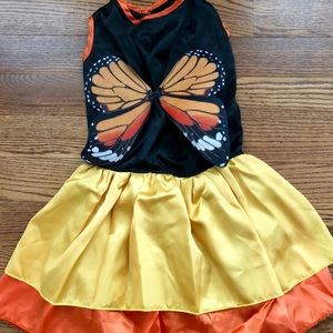 Monarch Butterfly Dog Costume 曆  